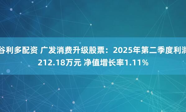 谷利多配资 广发消费升级股票：2025年第二季度利润212.18万元 净值增长率1.11%